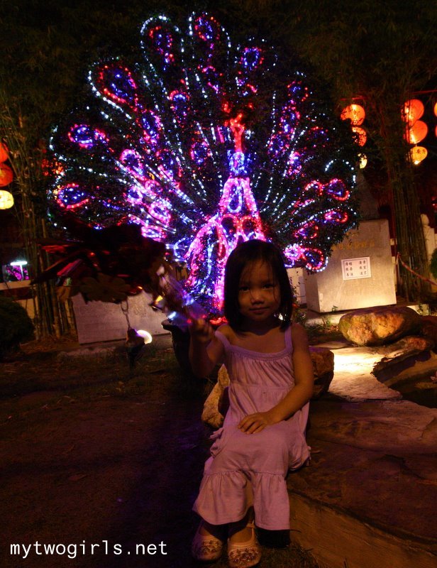 Zaria with Peacock bonsai